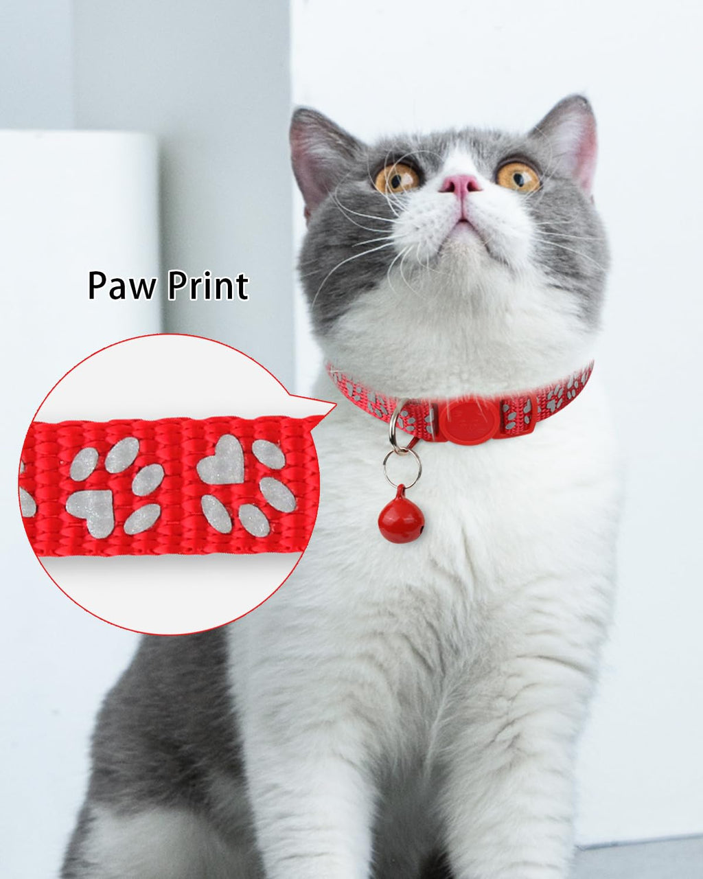 Personalized Cat Collar with Name Tag & Bell J307
