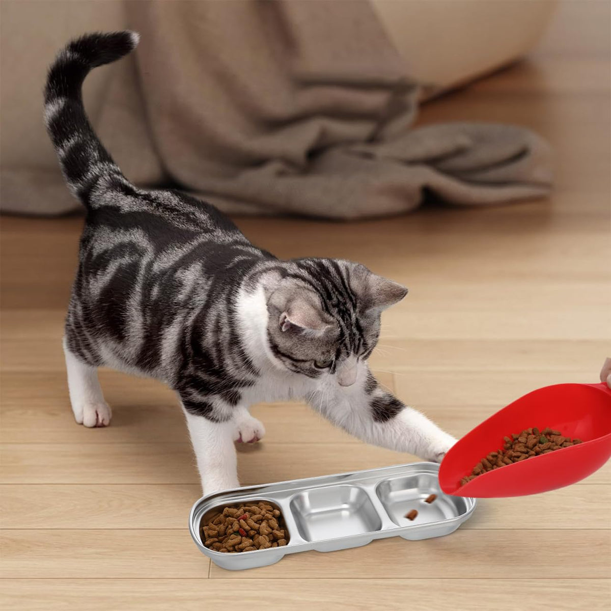 2pcs Stainless Steel Compartment Pet Food Bowls E62803