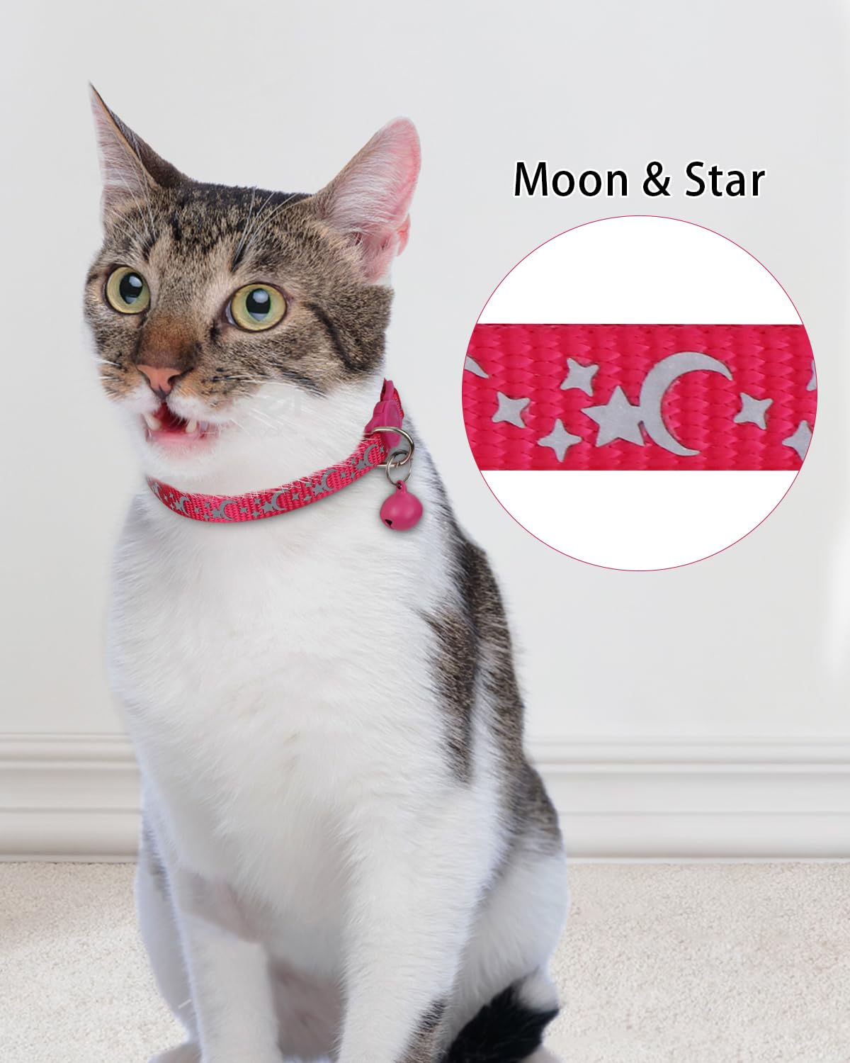 Personalized Cat Collar with Name Tag & Bell J307