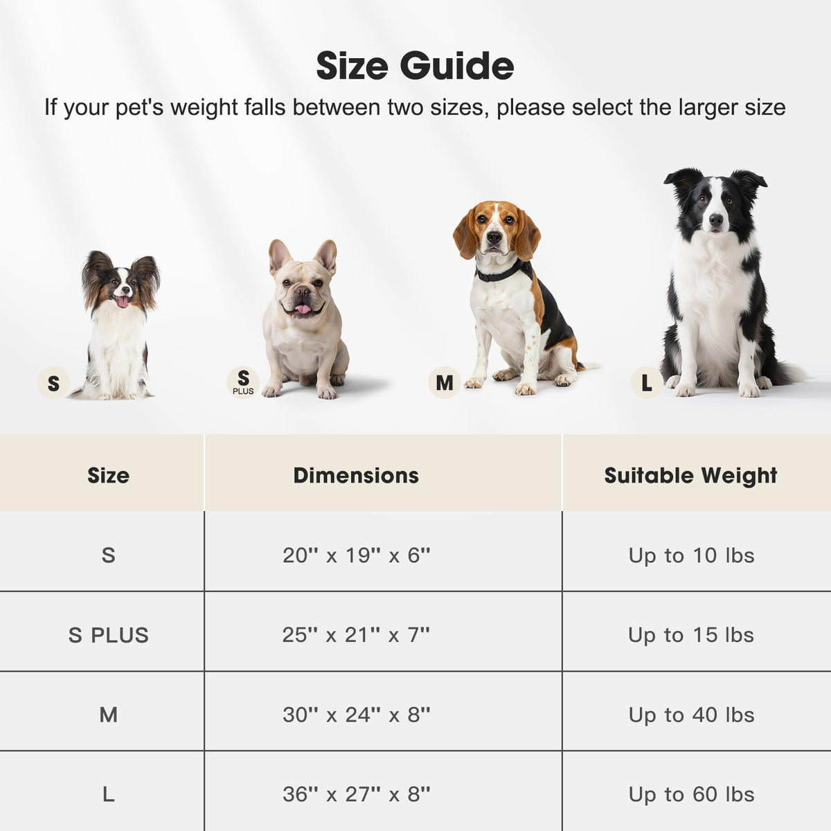 Medium Washable Dog Bed with Removable Cover D997