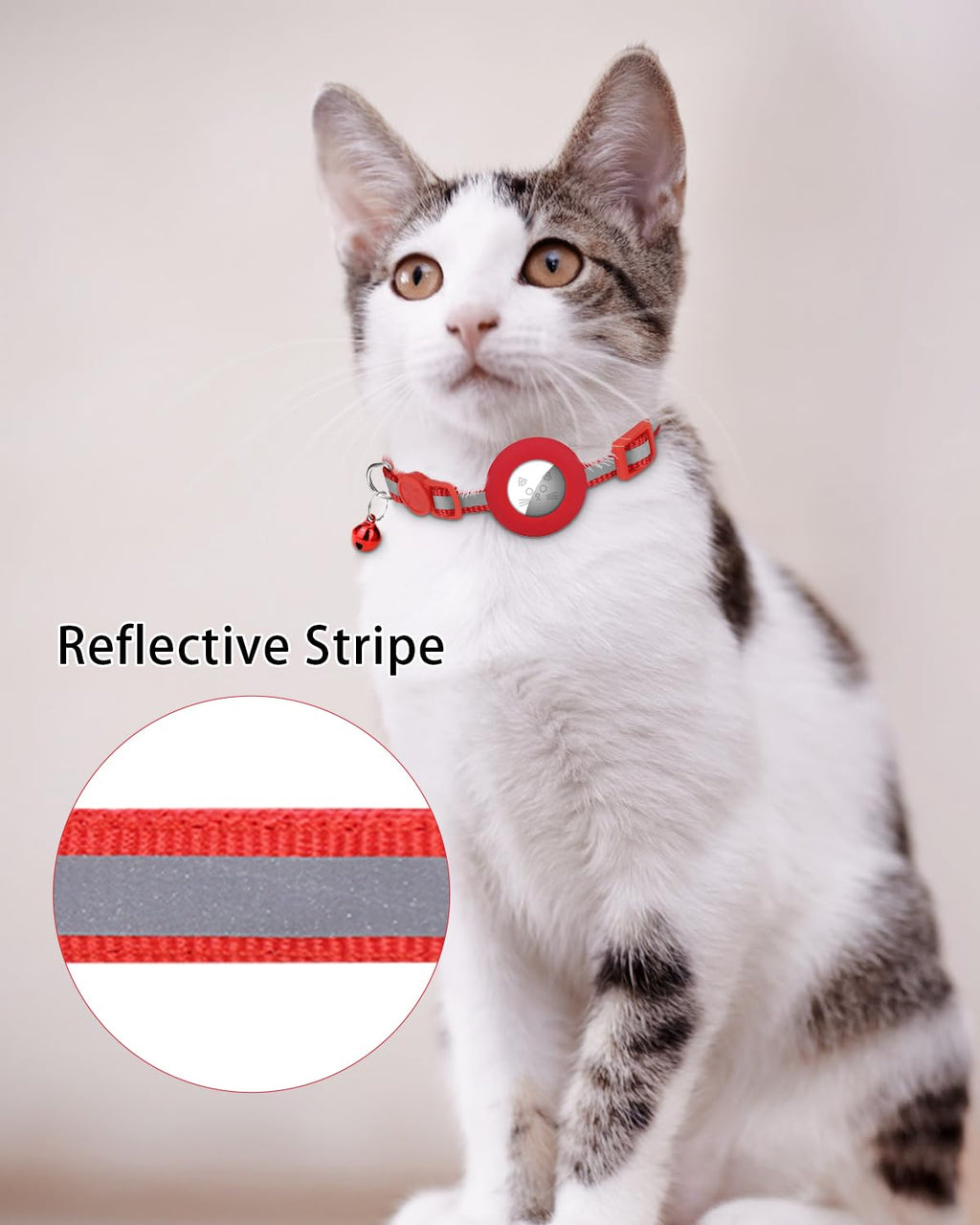 Personalized Cat Collar with Name Tag & Bell J307