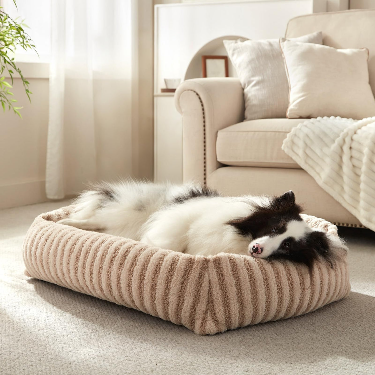 Medium Washable Dog Bed with Removable Cover D997