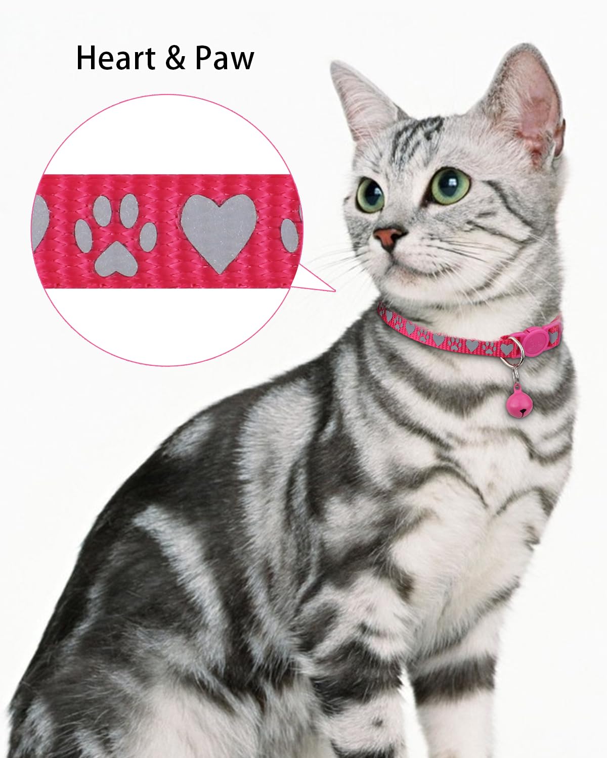 Personalized Cat Collar with Name Tag & Bell J307