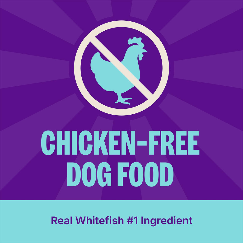 Dry Dog Food, Sensitive Stomach, Whitefish and Brown Rice, 22 lb Bag J793082
