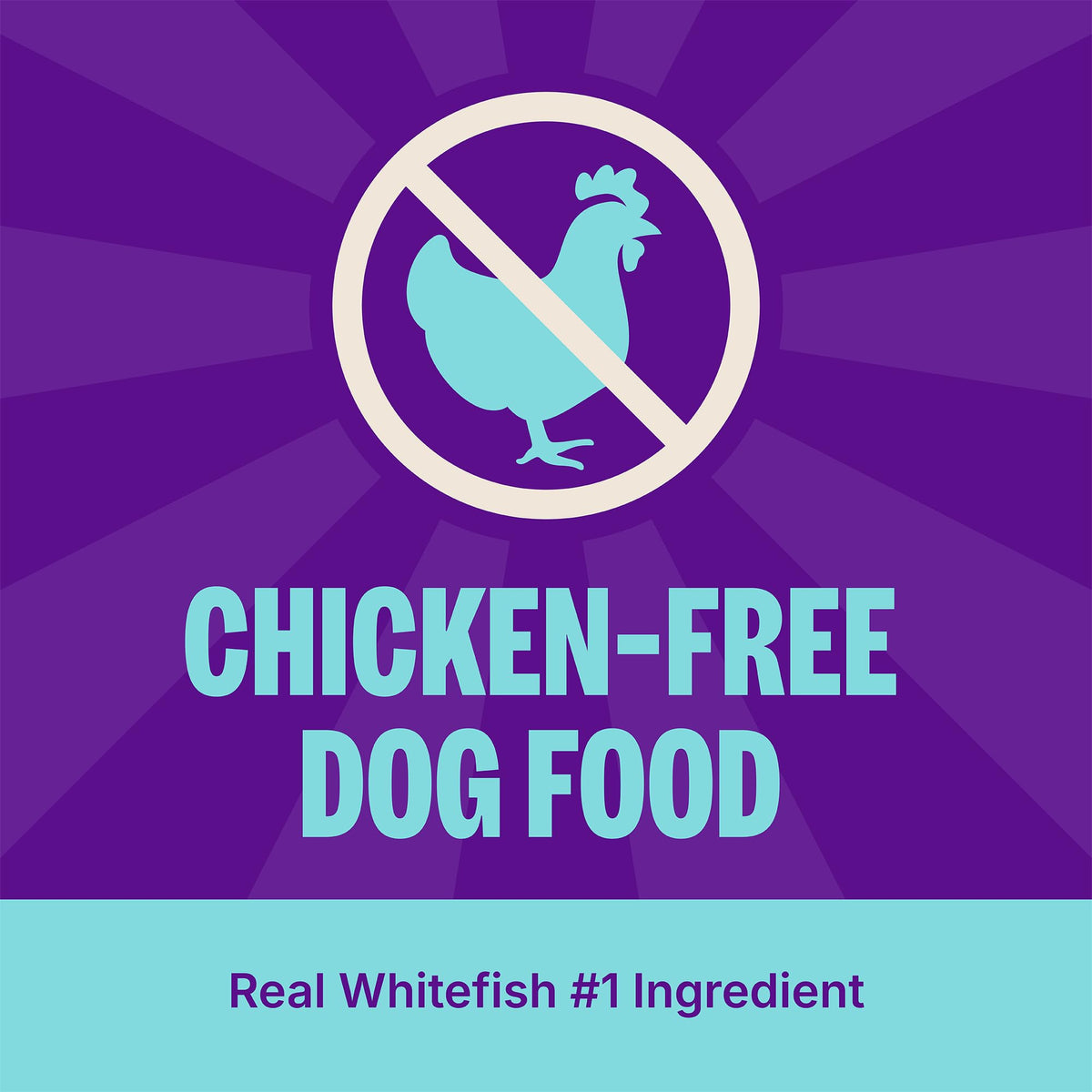 Dry Dog Food, Sensitive Stomach, Whitefish and Brown Rice, 22 lb Bag J793082