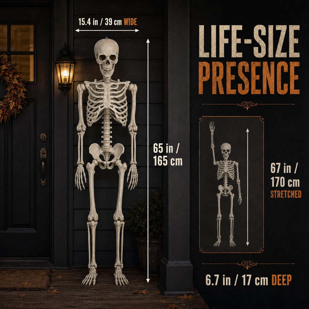 Life Size Poseable Skeleton with Movable Joints R3627