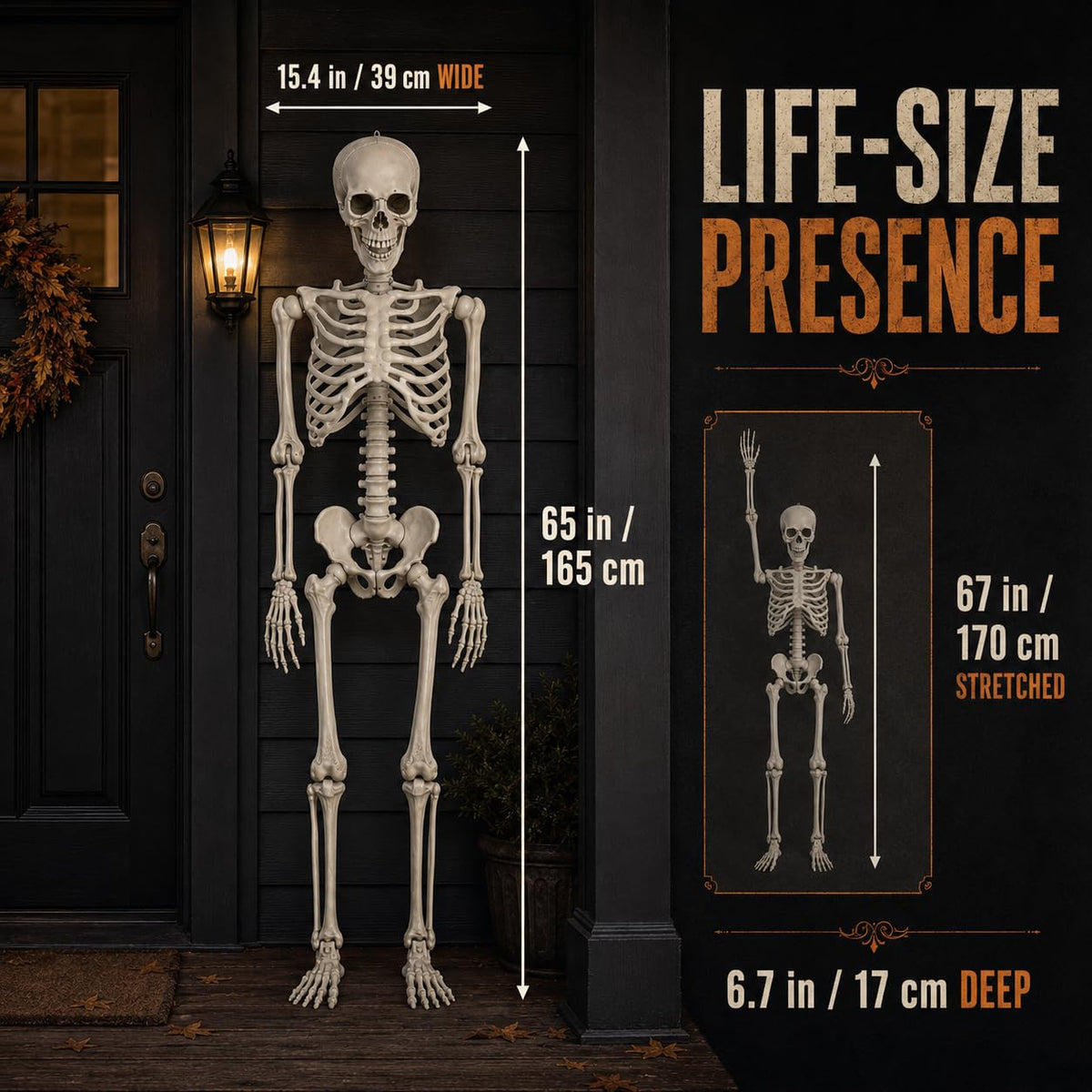Life Size Poseable Skeleton with Movable Joints R3627