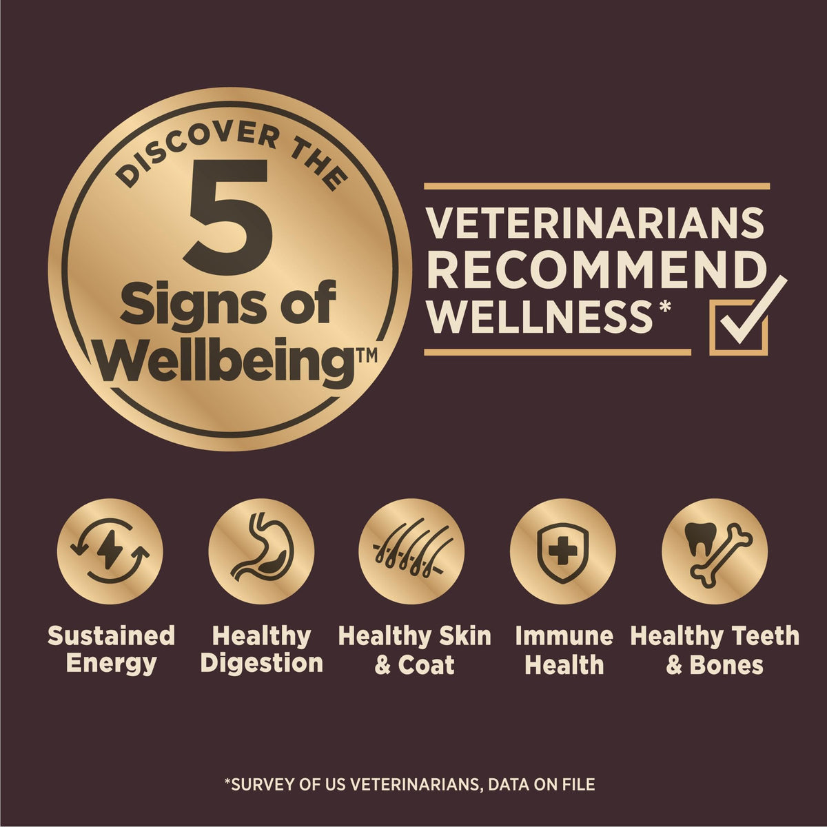 Dry Dog Food, Sensitive Stomach, Whitefish and Brown Rice, 22 lb Bag J793082