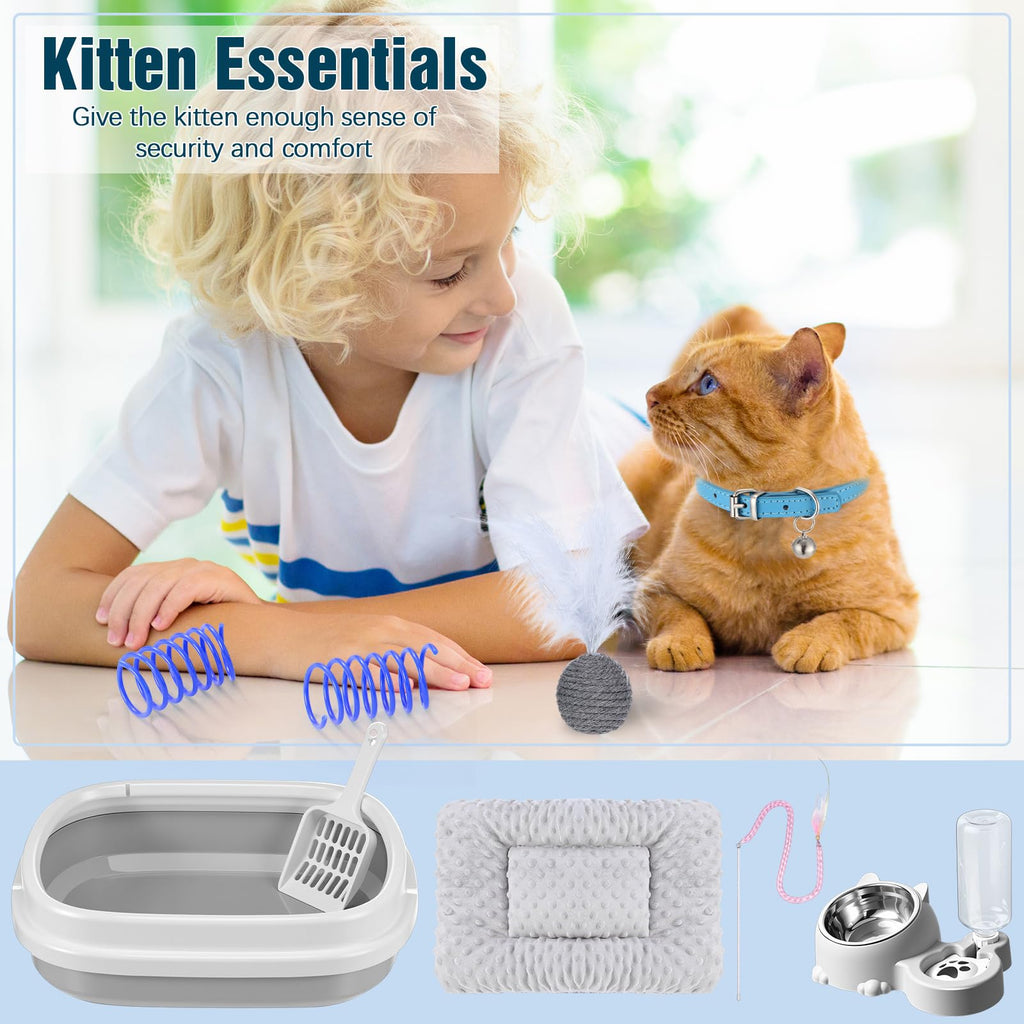 10 Pcs Kitten Starter Kit K2825