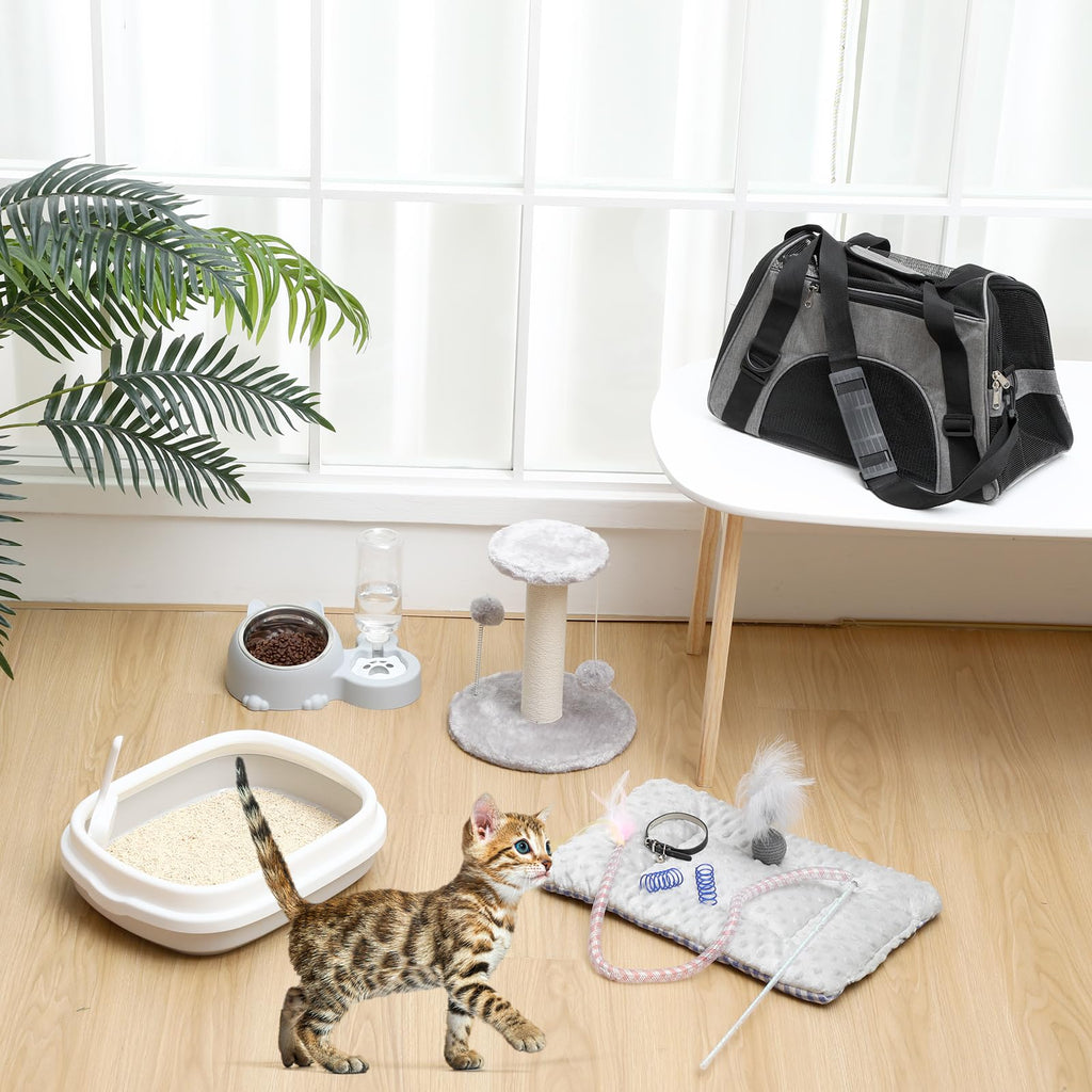 10 Pcs Kitten Starter Kit K2825