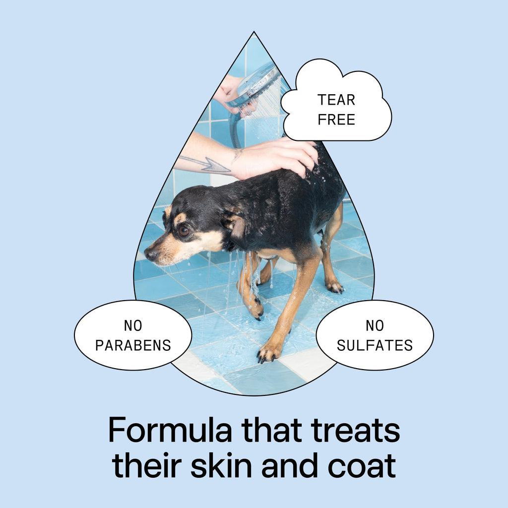 Pet Shampoo 16.9 fl oz H7769