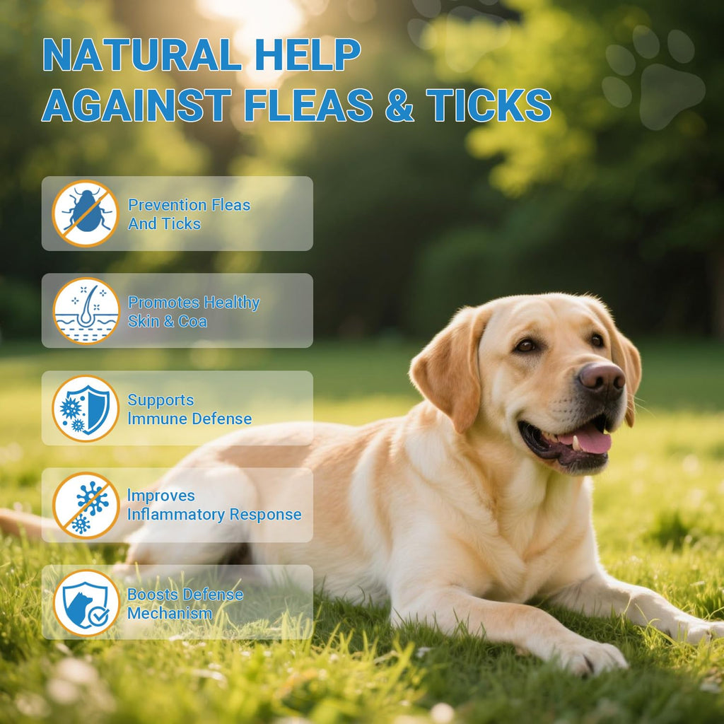 Flea and Tick Prevention for Dogs 200 Soft Chews Chicken Flavor L86784