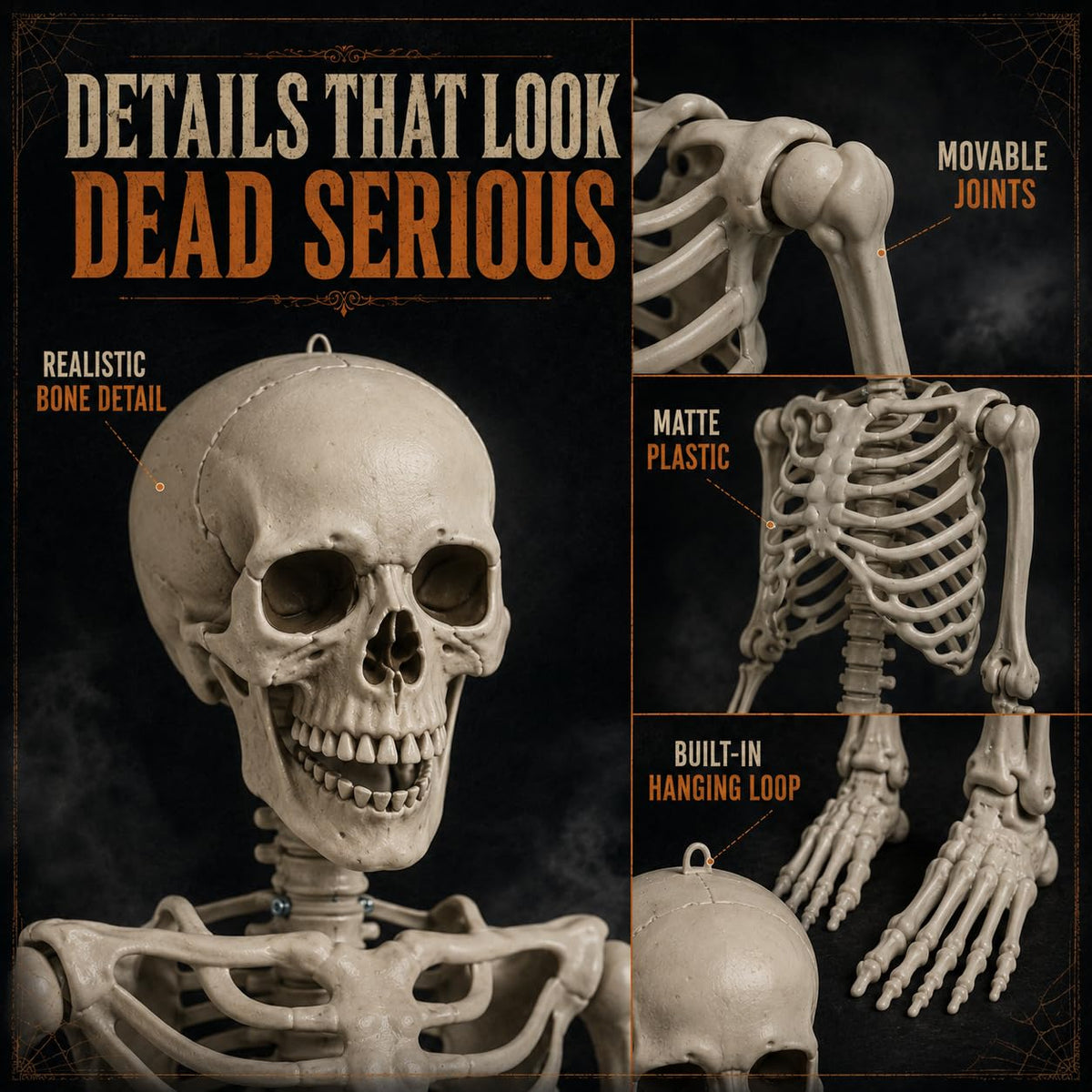 Life Size Poseable Skeleton with Movable Joints R3627