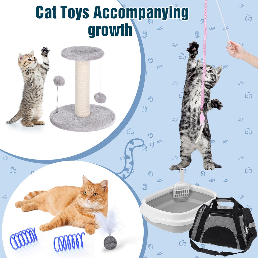 10 Pcs Kitten Starter Kit K2825
