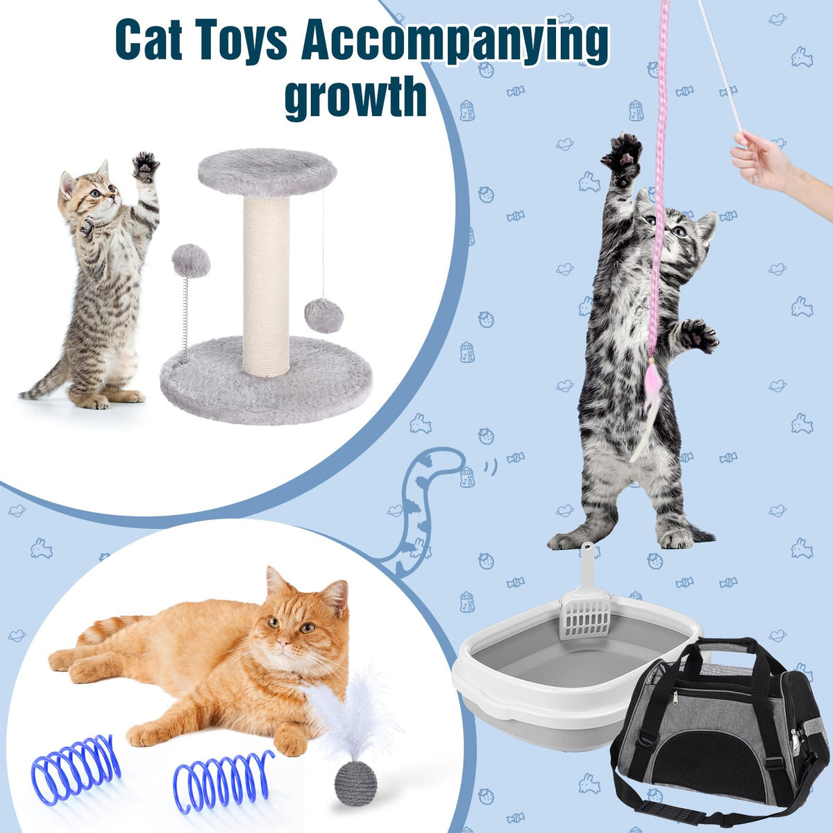 10 Pcs Kitten Starter Kit K2825