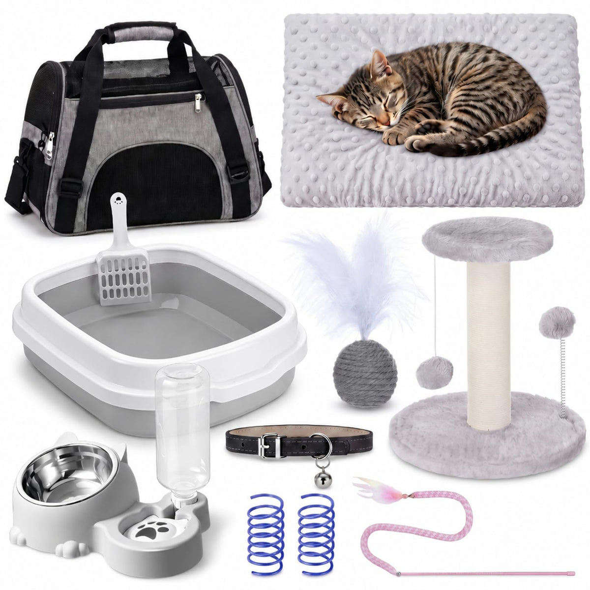 10 Pcs Kitten Starter Kit K2825