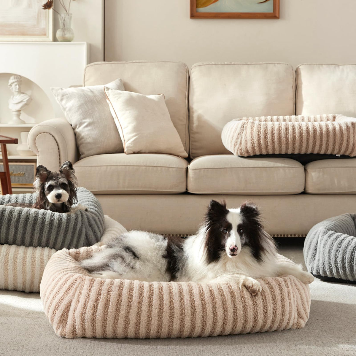 Medium Washable Dog Bed with Removable Cover D997