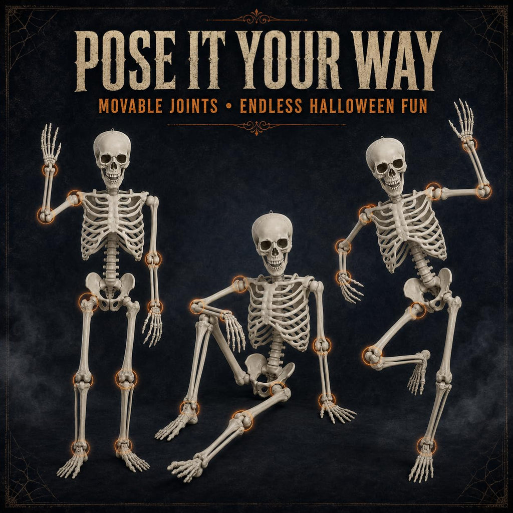 Life Size Poseable Skeleton with Movable Joints R3627