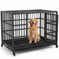 48" Heavy Duty Dog Crate G1803