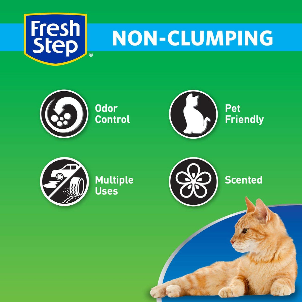 Non Clumping Cat Litter With 7-Day Odor Control, 14 lb. Bag T315