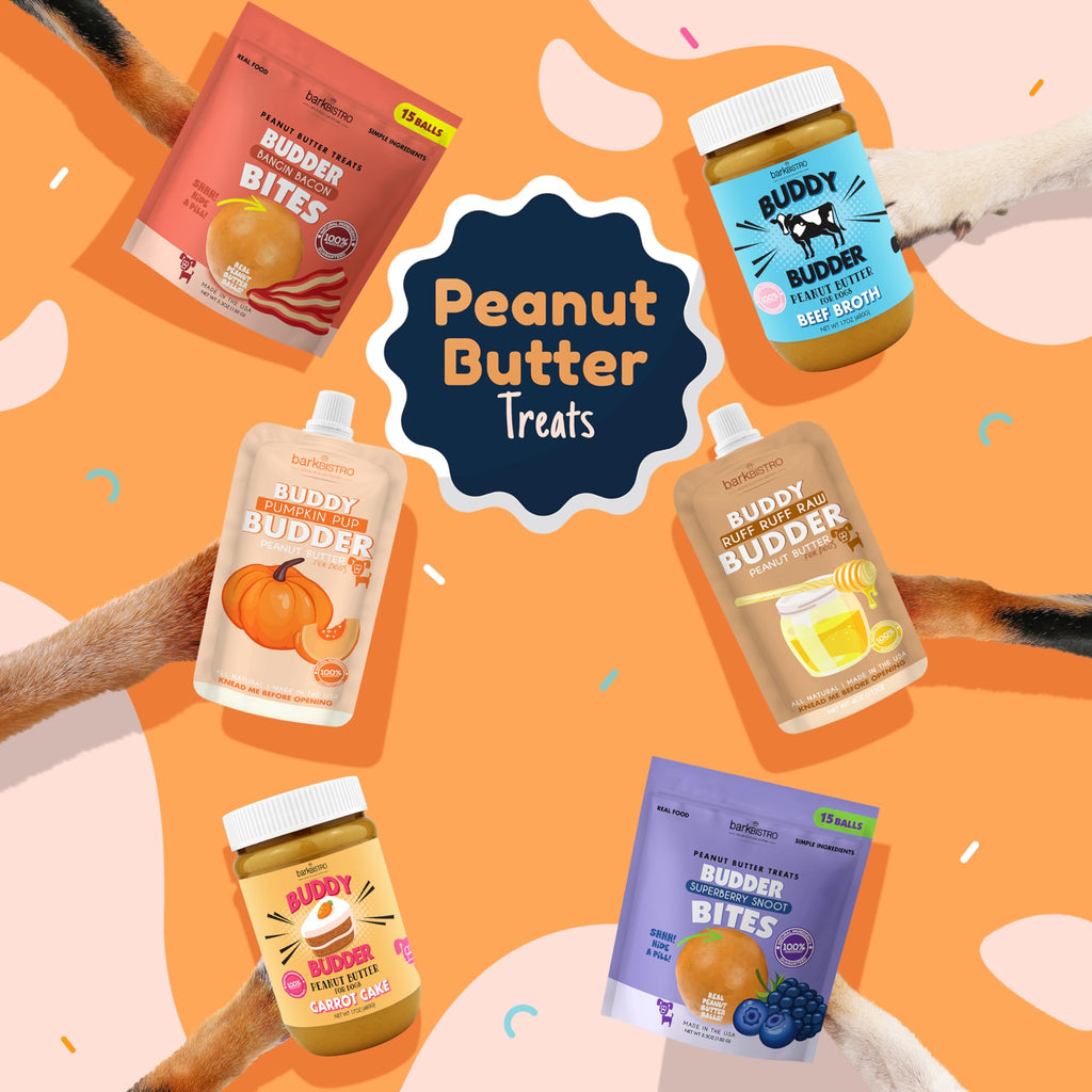 Peanut Butter Dog Treat B958140