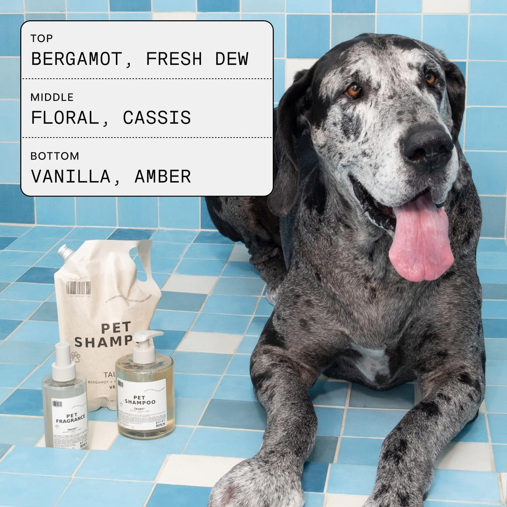 Pet Shampoo 16.9 fl oz H7769