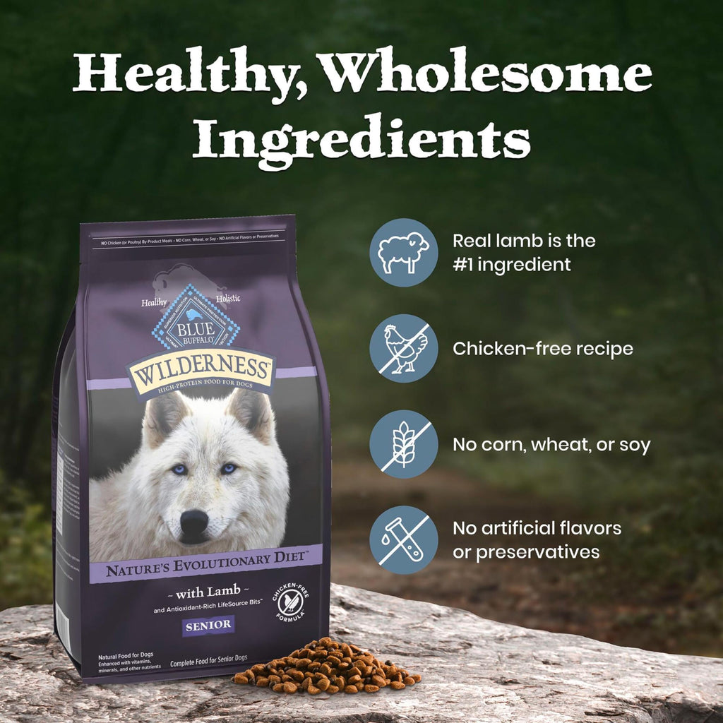 Lamb & Wholesome Grains Senior Dry Dog Food, 4.5 lb I3406