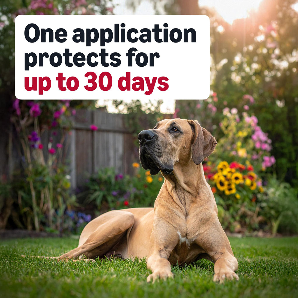 Flea and Tick Topical Treatment for Extra Large Dogs 3 Count X10662