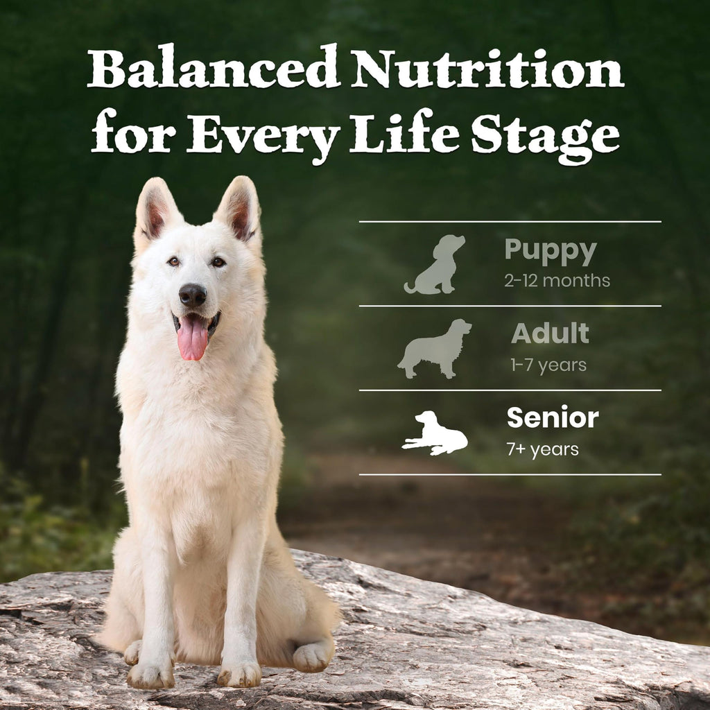 Lamb & Wholesome Grains Senior Dry Dog Food, 4.5 lb I3406