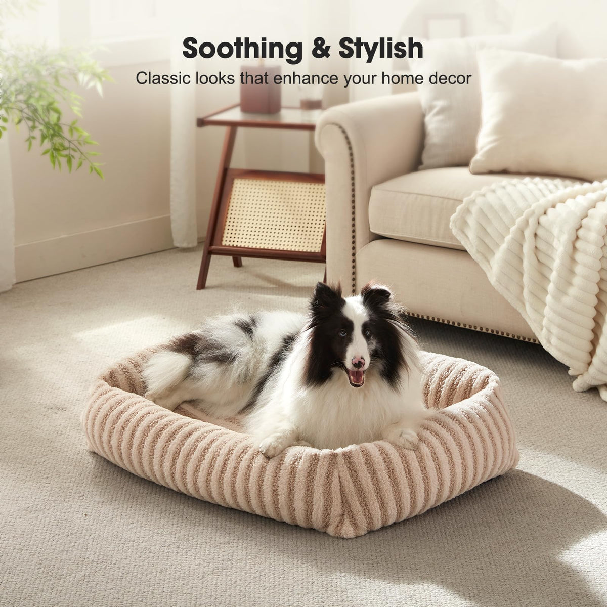 Medium Washable Dog Bed with Removable Cover D997