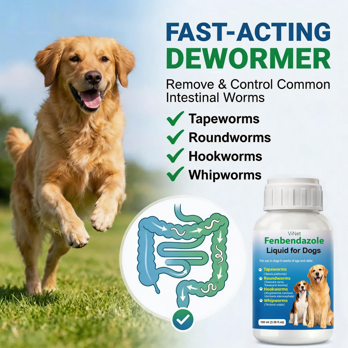 Broad Spectrum Dog Dewormer Y239052