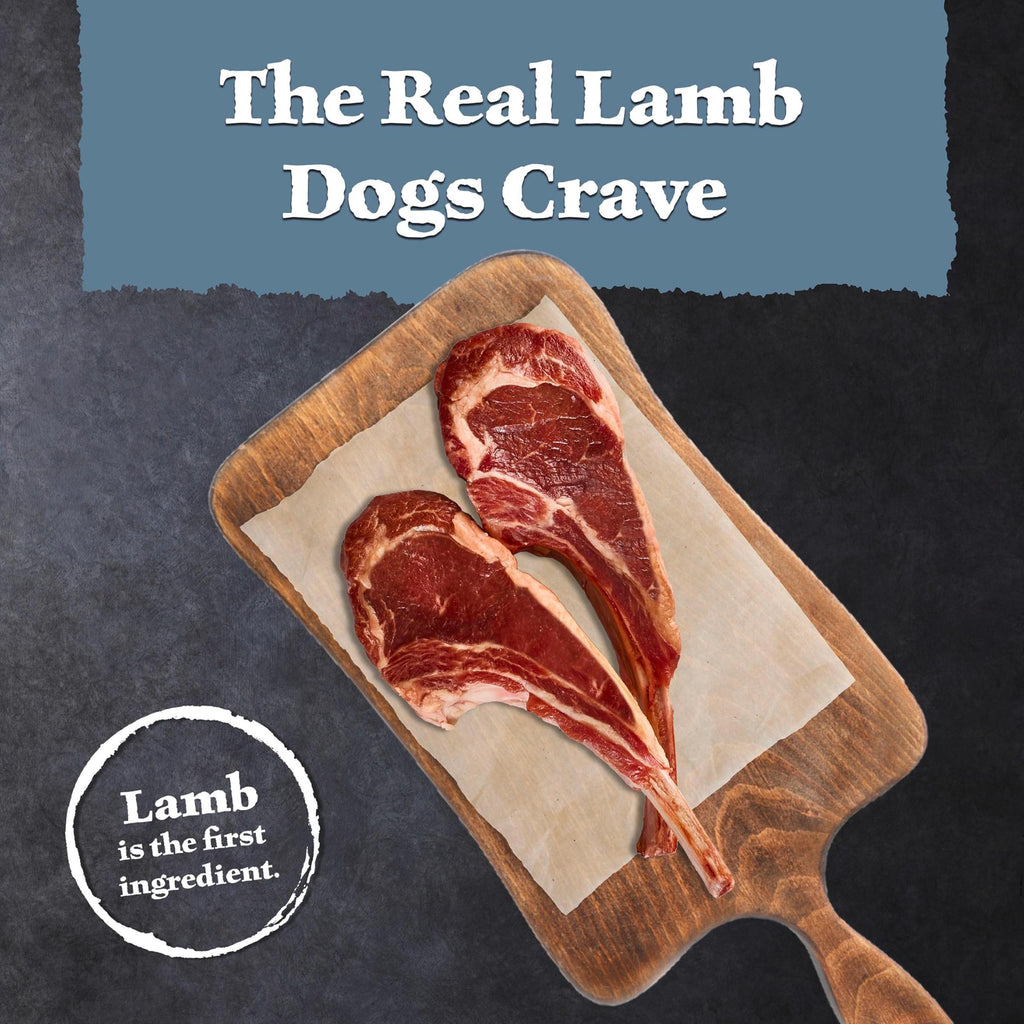 Lamb & Wholesome Grains Senior Dry Dog Food, 4.5 lb I3406